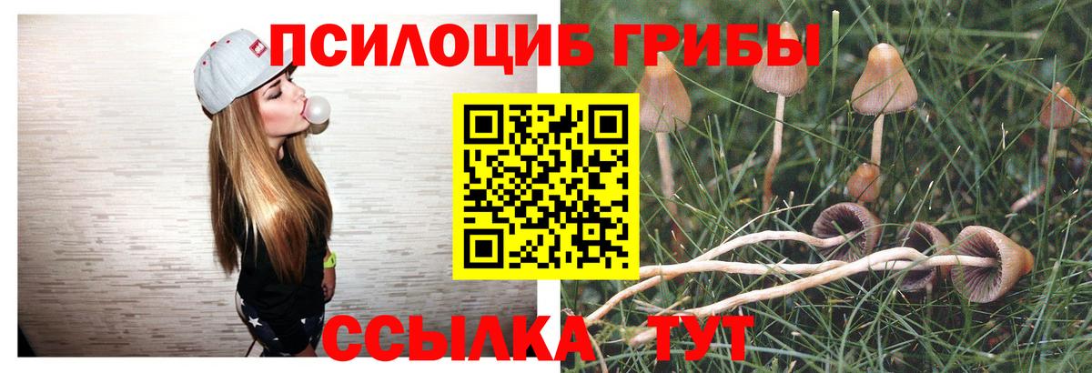 Уссурийск  купить наркотики цена  Вход с VPN  Галлюциногенные грибы Psilocybe 